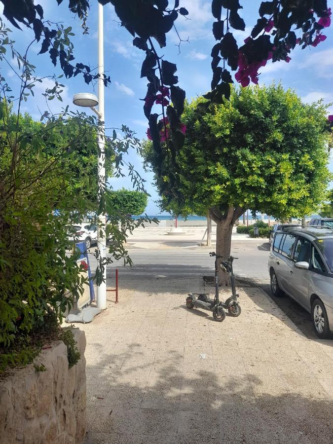 Casa Sol Y Mar Villa L'Île-Rousse Dış mekan fotoğraf